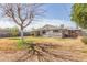 Backyard with a lawn, sparse tree with the house, patio, and covered patio behind at 3607 N 21St Ave, Phoenix, AZ 85015