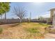 Landscaped backyard features a sparsely leafed tree and lawn, framed by a tall block wall and wooden fence at 3607 N 21St Ave, Phoenix, AZ 85015