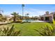 Lush backyard with a sprawling lawn, mature trees, desert plants and a sparkling pool at 4066 E Grandview St, Mesa, AZ 85205