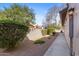 Property features a low maintenance backyard with desert landscaping and privacy wall at 4066 E Grandview St, Mesa, AZ 85205