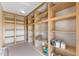 Walk-in pantry with custom built-in shelving and lighting at 4066 E Grandview St, Mesa, AZ 85205