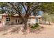Large backyard with mature tree providing shade over the brick patio and desert landscaping at 4701 E Walatowa St, Phoenix, AZ 85044