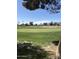 Lush green golf course with mature trees, manicured landscaping, and serene atmosphere at 4701 E Walatowa St, Phoenix, AZ 85044