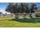 Captivating front yard showcasing a beautiful, single-story home enhanced by lush trees and a sprawling green lawn at 6527 W Bloomfield Rd, Glendale, AZ 85304