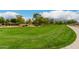 Large, well-maintained community greenbelt with lush grass, mature trees, and a paved sidewalk at 6963 W Aurora Dr, Glendale, AZ 85308