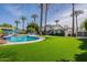Expansive backyard with lush green lawn, sparkling pool, and desert palm trees at 726 W El Camino W Dr, Phoenix, AZ 85021