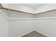 Walk-in closet with carpet flooring and closet rods at 9306 E Fairbrook St, Mesa, AZ 85207