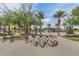 The community features a bicycle rack, palm trees, and shade to support active lifestyles and outdoor recreation at 9544 E Theia Dr, Mesa, AZ 85212