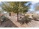 Spacious backyard with desert landscaping, mature trees, gravel and covered patio at 1559 E Peregrine Trl, Casa Grande, AZ 85122