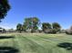 Wide-open green space with mature trees and manicured lawns creates a tranquil and picturesque setting at 2650 W Union Hills Dr # 272, Phoenix, AZ 85027