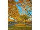 A canopy of fall colored trees line a well manicured street at 4695 N 204Th Ave, Buckeye, AZ 85396