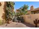 Lush backyard features mature trees, a decorative bench, and a charming garden area at 5370 S Desert Dawn Dr # 39, Gold Canyon, AZ 85118