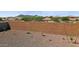 Spacious backyard featuring a tall block wall for privacy and minimal landscaping, perfect for customization at 7449 W Buckhorn Trl, Peoria, AZ 85383