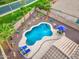 Backyard pool area featuring a sparkling pool with desert landscaping offering a tranquil outdoor experience at 835 E Virgo Pl, Chandler, AZ 85249