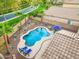 Inviting backyard pool with lounge chairs, palm trees, and desert landscaping for a private oasis at 835 E Virgo Pl, Chandler, AZ 85249