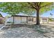 Charming single-story home features a white brick facade, mature tree, and xeriscaped front yard at 8419 N 51St Dr, Glendale, AZ 85302