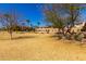 Well-maintained community lawn with mature trees, decorative plants, and a low brick wall enclosing the residential area at 9144 W Surrey Dr, Peoria, AZ 85381