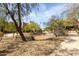 Serene view of the community grounds featuring mature trees and walking path with pool in the background at 9716 N 3Rd Dr, Phoenix, AZ 85021