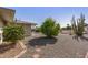 View of backyard featuring desert landscaping with cacti, trees, and shrubs at 13007 W Butterfield Dr, Sun City West, AZ 85375