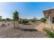 Well-kept backyard featuring desert landscaping, citrus trees, and brick pavers leading to the patio at 13007 W Butterfield Dr, Sun City West, AZ 85375