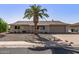 Charming single-story home with a well-manicured front yard featuring a mature palm tree at 13007 W Butterfield Dr, Sun City West, AZ 85375