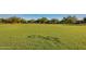 Expansive greenspace in a community park, perfect for recreation and relaxation at 22644 W Mohave St, Buckeye, AZ 85326