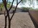 Gravel backyard surrounded by a brick fence and a few small trees at 29673 N 120Th Ln, Peoria, AZ 85383