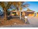 Charming single-story home with a well-maintained yard featuring desert landscaping and mature tree at 3744 E Evans Dr, Phoenix, AZ 85032