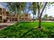 Beautiful exterior view of a condo community featuring lush green spaces and mature trees at 715 S Extension Rd # 70, Mesa, AZ 85210