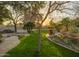 Lush backyard with green lawn, desert landscaping, mature trees at 8433 E Cholla St, Scottsdale, AZ 85260