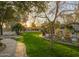 Lush backyard with green lawn, desert landscaping, and pool at 8433 E Cholla St, Scottsdale, AZ 85260