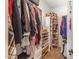 A walk-in closet featuring custom shelving, ample storage space for clothes and shoes at 11225 E Starflower Ct, Chandler, AZ 85249