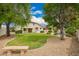 Large backyard featuring a green lawn, mature landscaping, and a sparkling pool at 2551 E Buena Vista Pl, Chandler, AZ 85249