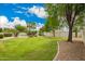 Spacious backyard with green lawn, mature trees, and landscaped flower beds at 2551 E Buena Vista Pl, Chandler, AZ 85249