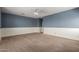 Large carpeted bedroom with blue accent wall, ceiling fan and ample space at 2551 E Buena Vista Pl, Chandler, AZ 85249