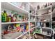 Spacious walk-in pantry with organized shelving, perfect for storing food and household supplies at 3438 E Betsy Ln, Gilbert, AZ 85296