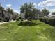 Expansive green lawn area with trees and surrounding buildings in the condo complex at 985 N Granite Reef Rd # 134, Scottsdale, AZ 85257