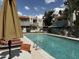 Community pool surrounded by lounge chairs, umbrellas, and manicured landscaping at 985 N Granite Reef Rd # 134, Scottsdale, AZ 85257