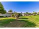 Well maintained backyard with trimmed hedges and palm tree at 10750 W Abbott Ave, Sun City, AZ 85351