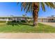 Charming single-story home with a well-manicured front yard and a mature palm tree at 10750 W Abbott Ave, Sun City, AZ 85351