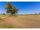 Expansive golf course view, framed by mature shade tree, offers serenity and vast, open outdoor recreation space at 10750 W Abbott Ave, Sun City, AZ 85351