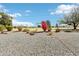 Spacious backyard showcasing desert landscaping with various cacti, bushes, and decorative elements at 11001 N Madison Dr, Sun City, AZ 85351