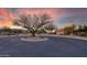 Beautifully landscaped front yard and circular driveway leading up to this home, with community clubhouse in the background at 15848 W Lahlum Ln, Surprise, AZ 85374