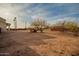 Backyard with two mature trees, palm trees, and a privacy fence, offering both shade and seclusion at 1819 W Joy Ranch Rd, Phoenix, AZ 85086