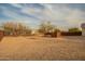 Backyard with trees and a view of a neighboring house, enclosed by a modern metal fence at 1819 W Joy Ranch Rd, Phoenix, AZ 85086