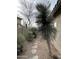 Desert landscaped backyard features a stone path, desert plants, and a block wall at 40915 N Columbia Trl, Anthem, AZ 85086