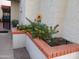 Cozy front patio with red brick planters filled with colorful plants and decorative sunflowers at 5139 N 76Th Pl, Scottsdale, AZ 85250