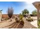 Xeriscaped backyard with a variety of cacti, offering a low-maintenance desert landscape at 583 W Bismark St, San Tan Valley, AZ 85143