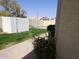 A view of the backyard, showing the green grass, privacy wall, and landscaping at 1119 E Southshore Dr, Gilbert, AZ 85234