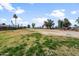 Large green space with scattered trees, palm trees, and a walking path, offering a serene outdoor setting at 11820 S Half Moon Dr, Phoenix, AZ 85044